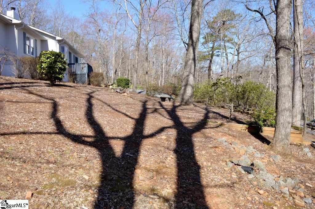 60 Paddock Lane Tryon, NC 28782 - Photo 21 of 22