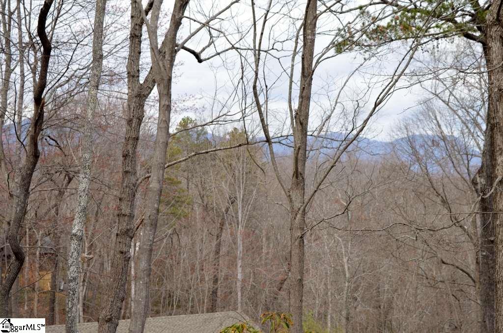 60 Paddock Lane Tryon, NC 28782 - Photo 22 of 22