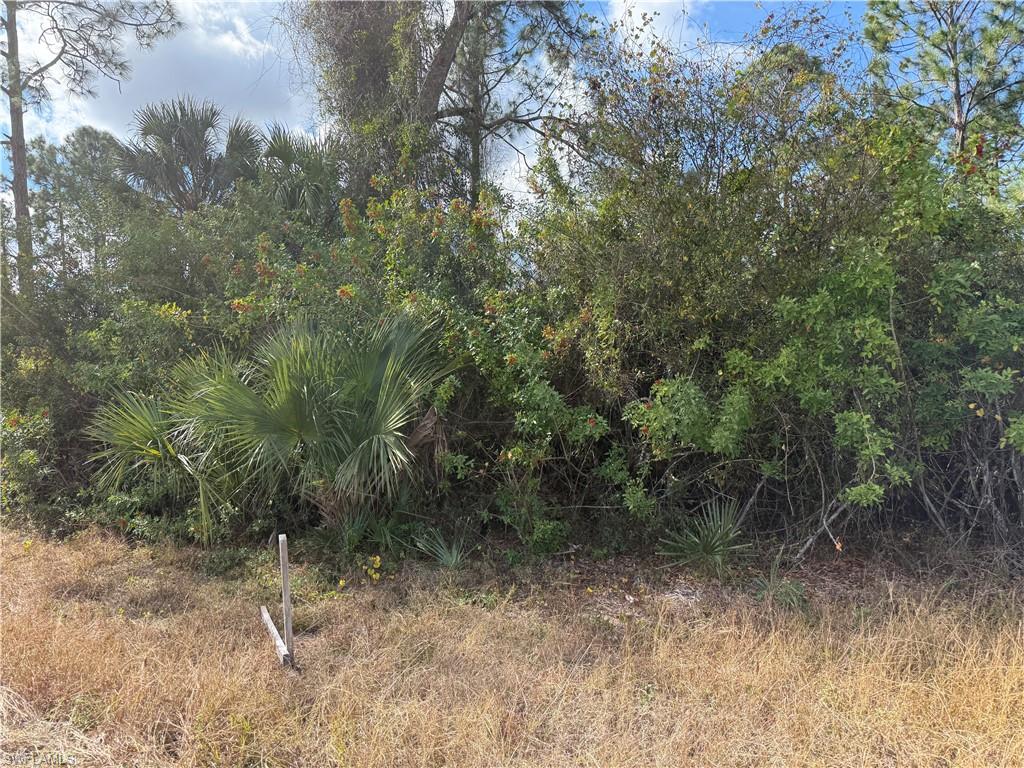 County Street East Lehigh Acres, FL 33974 - Photo 3 of 5 a view of a forest