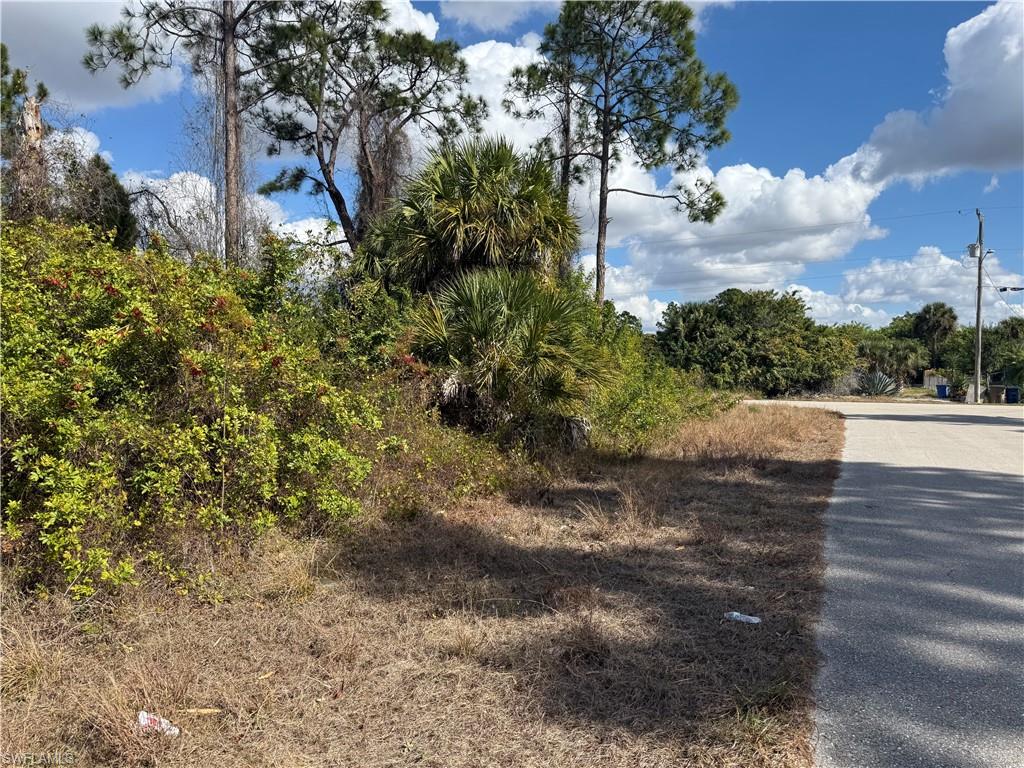 County Street East Lehigh Acres, FL 33974 - Photo 4 of 5 a view of a yard