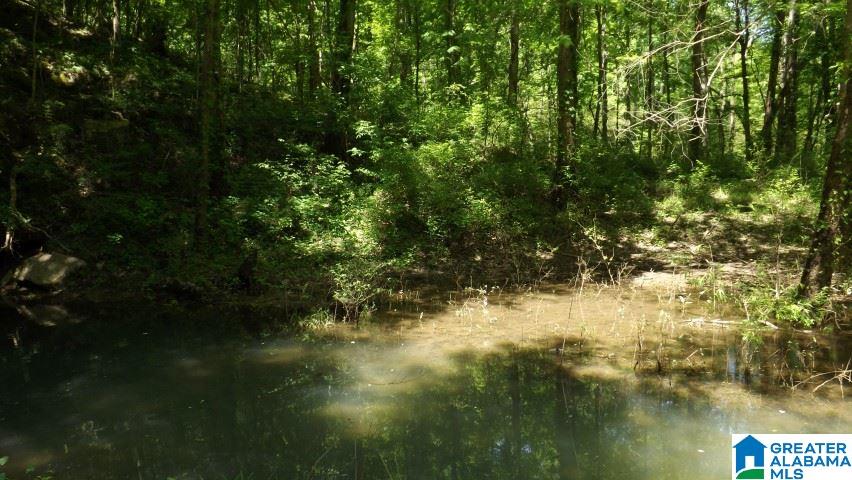 0 Pea Ridge Circle, Unit 424 Union Grove, AL 35175 - Photo 8 of 49