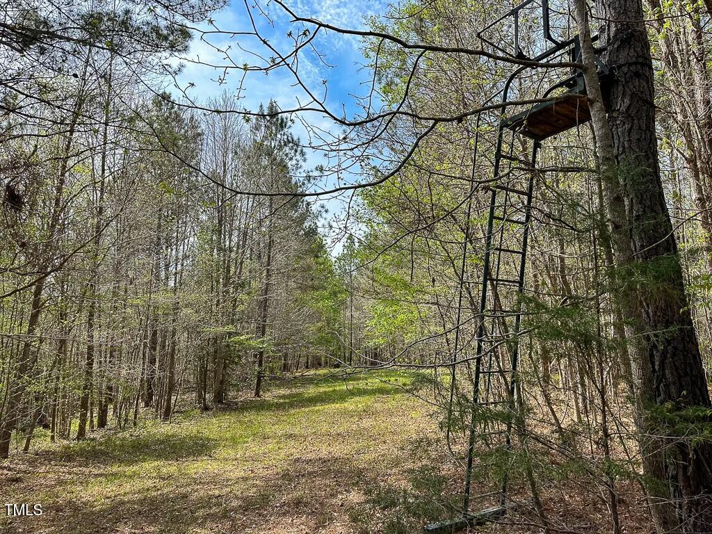 0 Rifle Range Road Warrenton, NC 27589 - Photo 22 of 38 tempImageDnlrj4