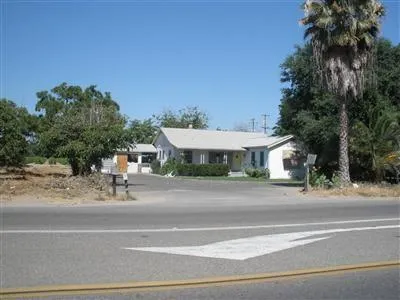a view of a house with a yard and large tree