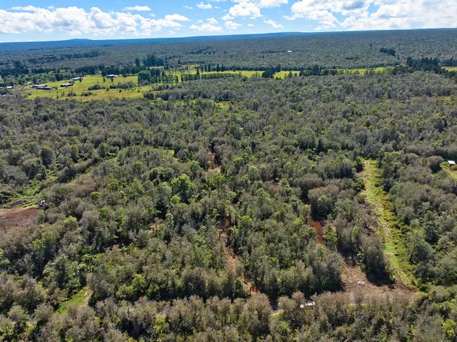 a view of a yard with an outdoor space