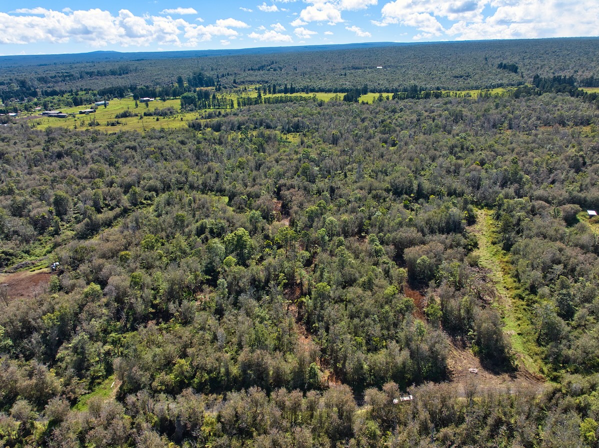 a view of a yard with an outdoor space