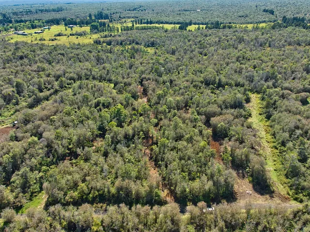 a view of a green field with lots of bushes
