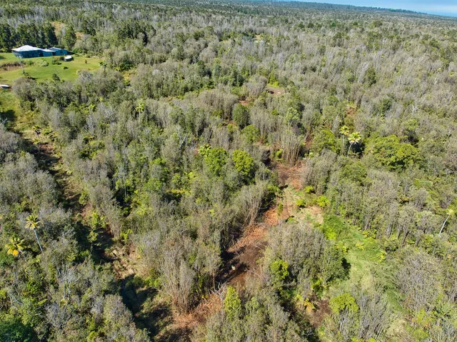 a view of a big yard with lots of bushes