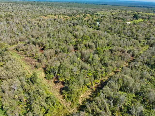 a view of a yard with an outdoor space