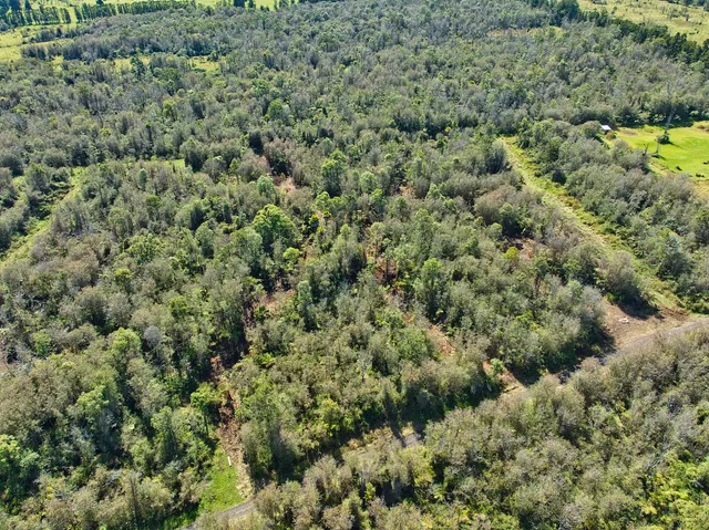 $150,000 | Lot E-3 Makaala Road, Mountain View, HI 96771