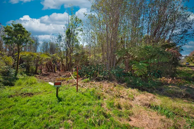 a view of a bench in a garden