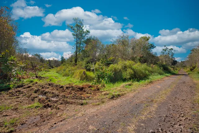 a view of a pathway both side of yard