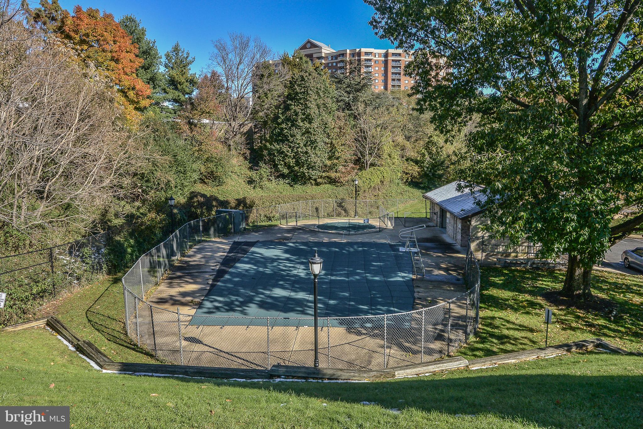 6151 Edsall Road, Unit H Alexandria, VA 22304 - Photo 20 of 21 Community Swimming Pool