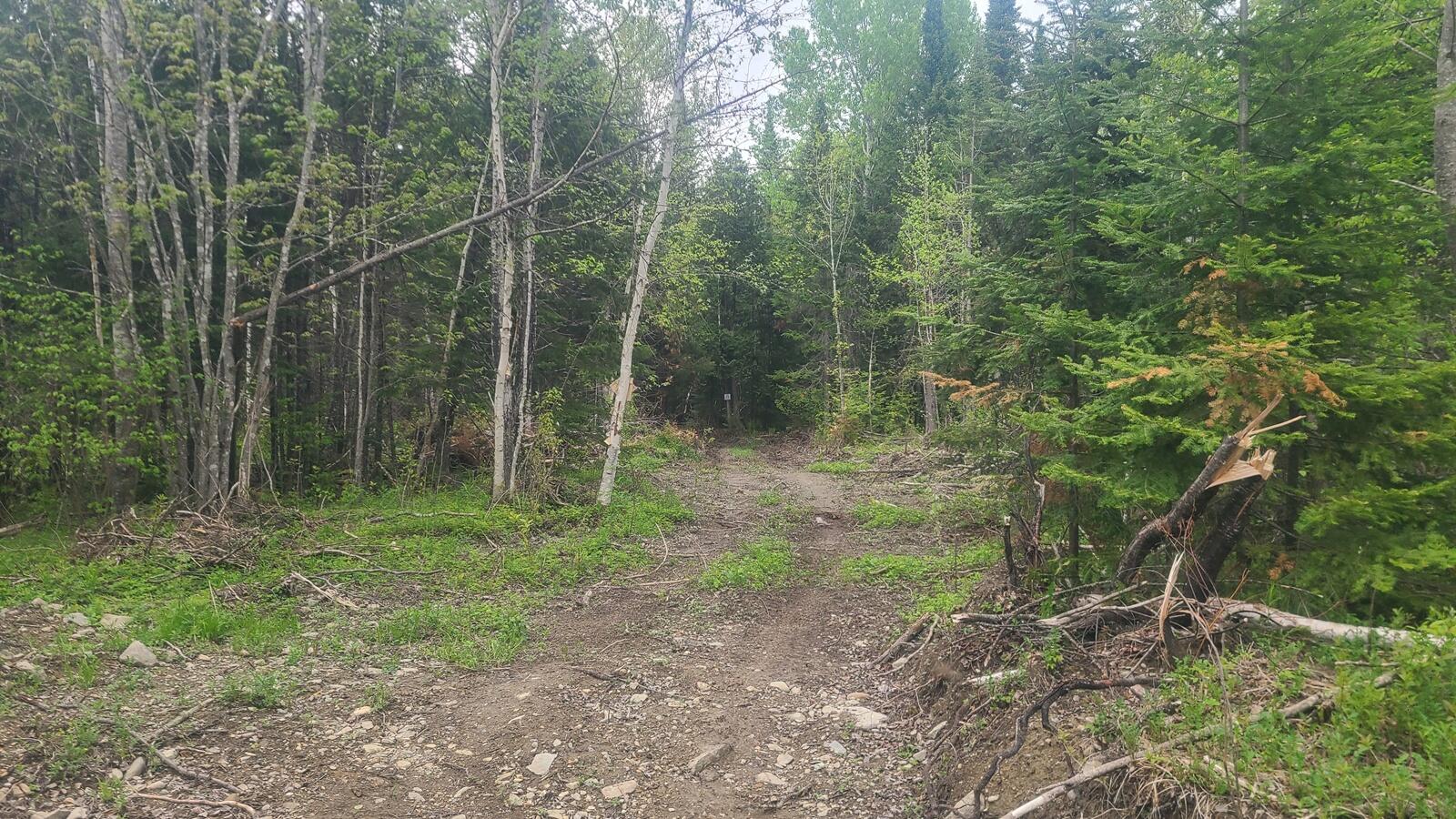 26 28/33/4 Aroostook Road Portage, ME 04768 - Photo 11 of 15 20260529_120137