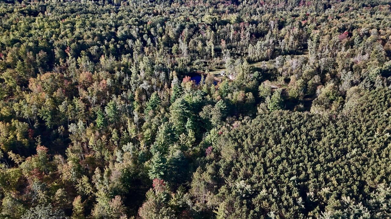 190 North Crawford Road Twining, MI 48766 - Photo 48 of 60 040
