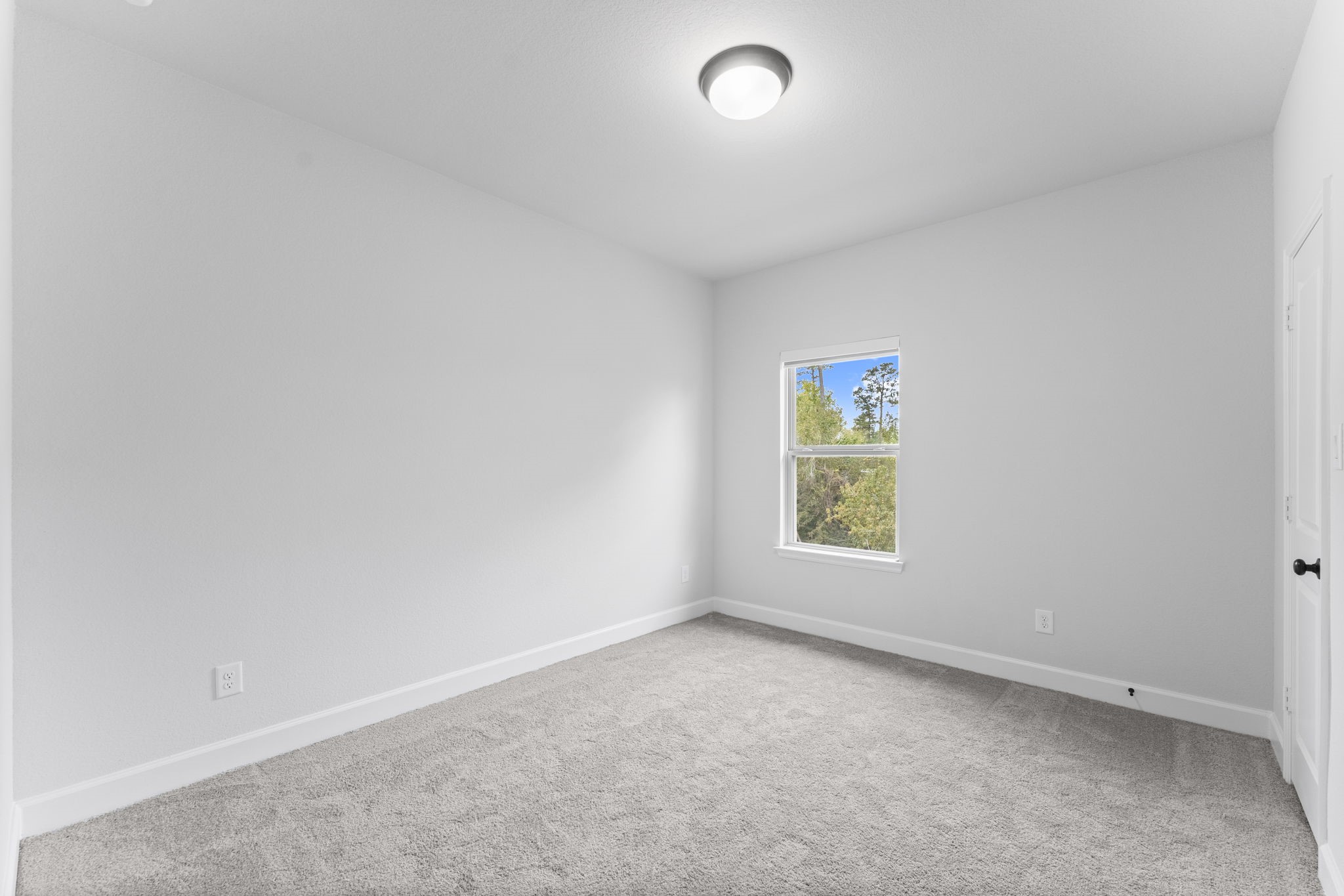 8546 Burdekin Road Magnolia, TX 77354 - Photo 36 of 46