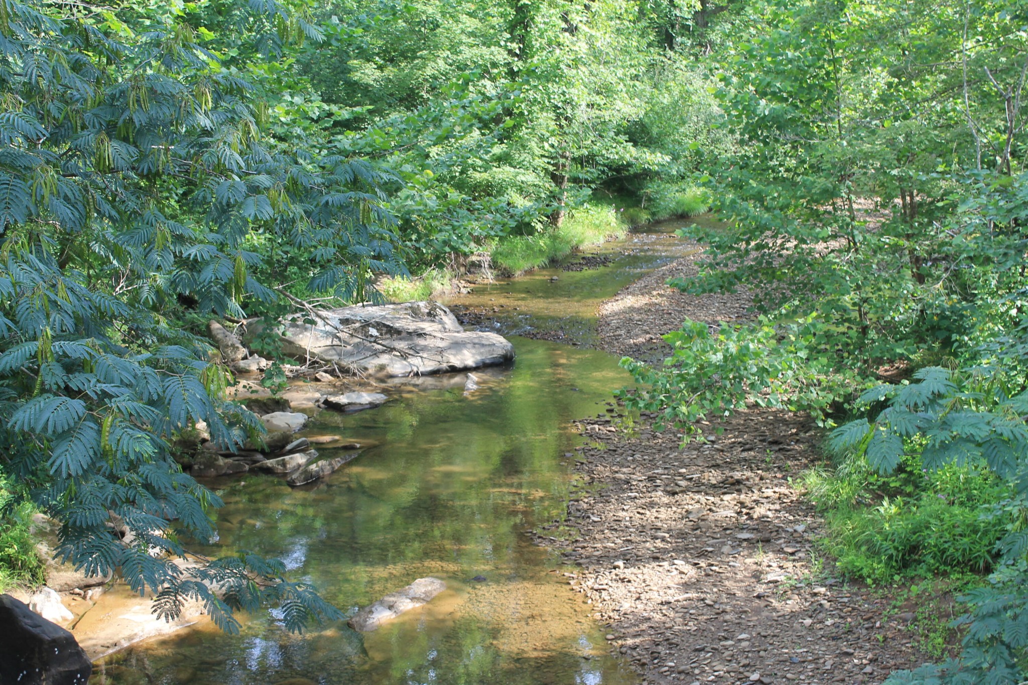 3 Straight Fork Road Huntsville, TN 37756 - Photo 6 of 9