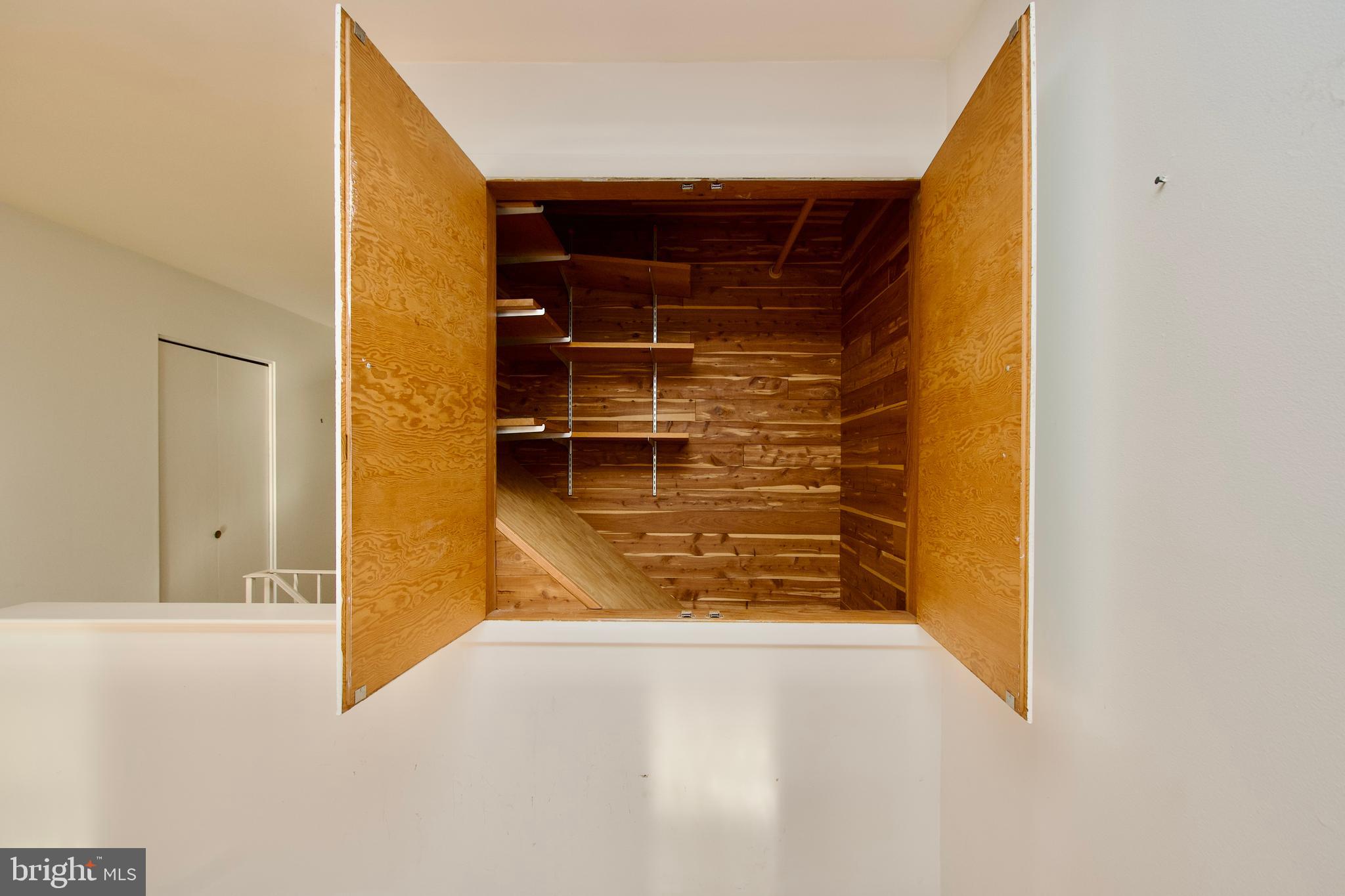 8319 Carnegie Drive Vienna, VA 22180 - Photo 15 of 56 Cedar lined storage area