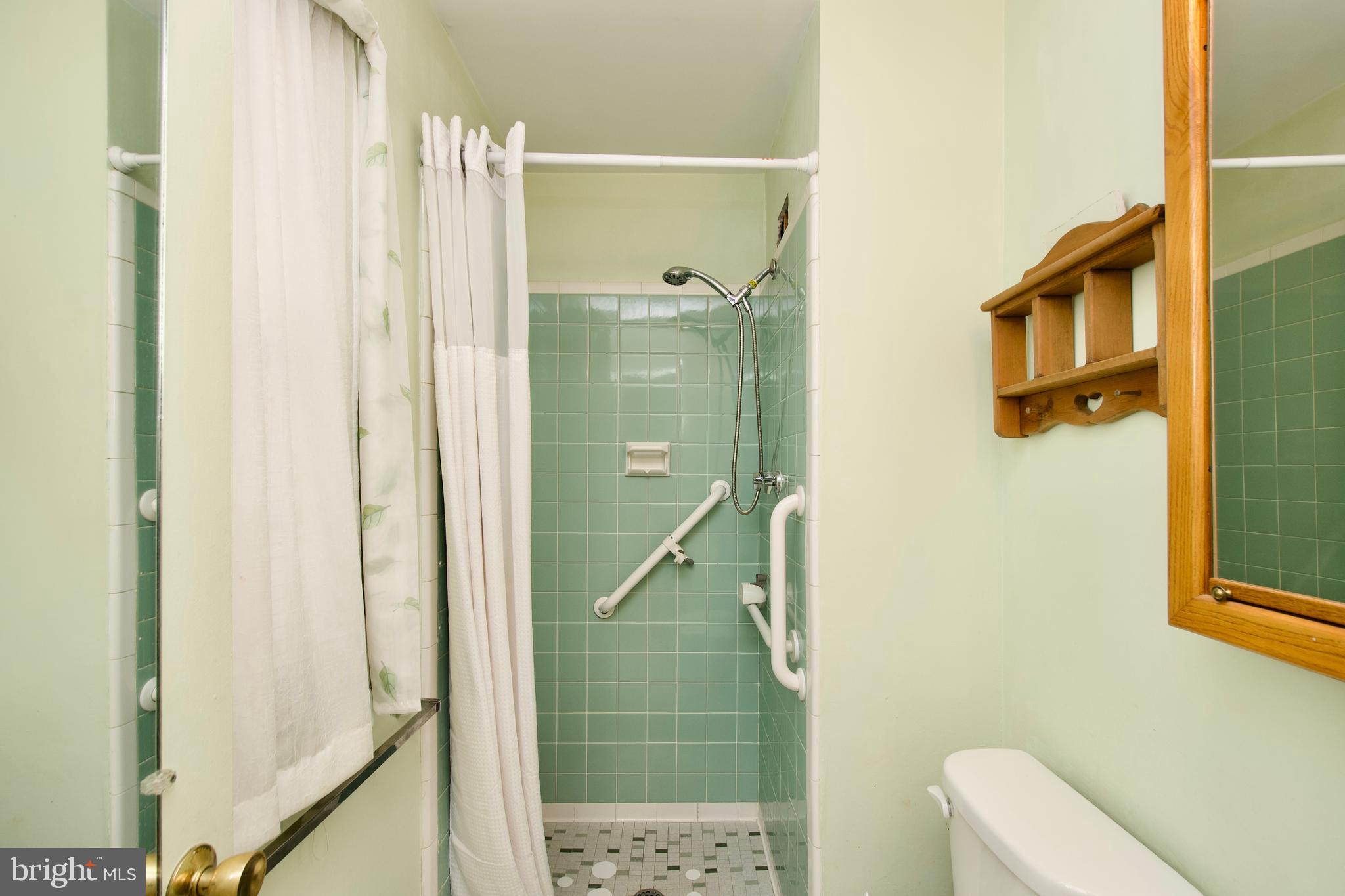 8319 Carnegie Drive Vienna, VA 22180 - Photo 34 of 56 Primary bath