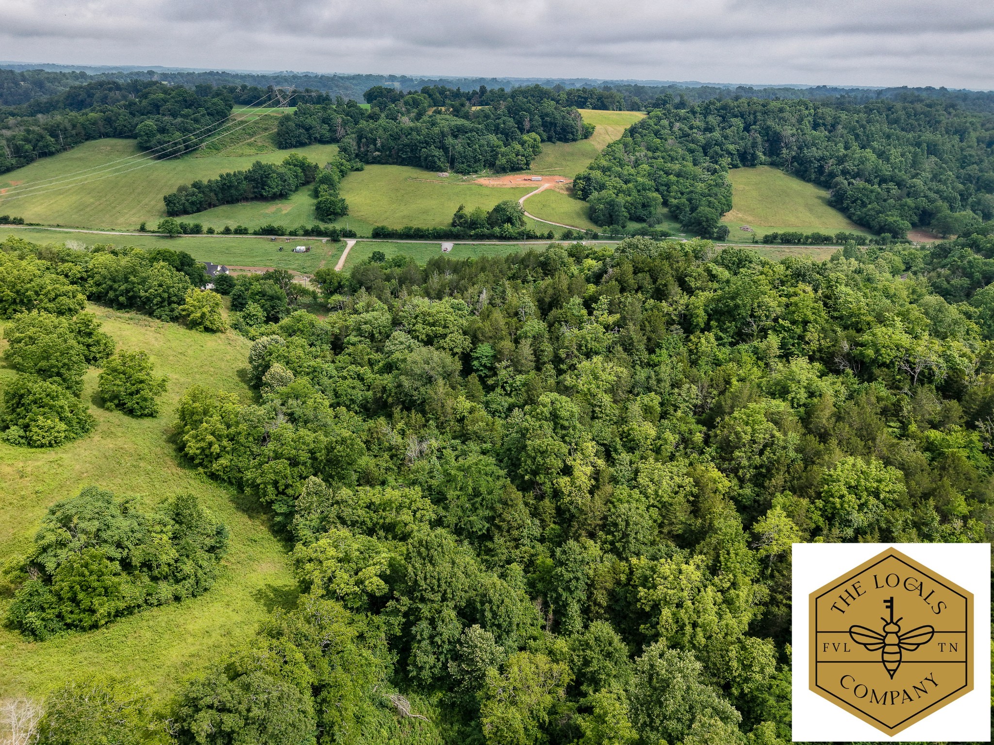 386 Cathcart Road Frankewing, TN 38459 - Photo 7 of 15