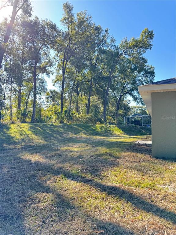 19330 Southwest 91st Loop Dunnellon, FL 34432 - Photo 18 of 46 a view of yard with swimming pool and green space