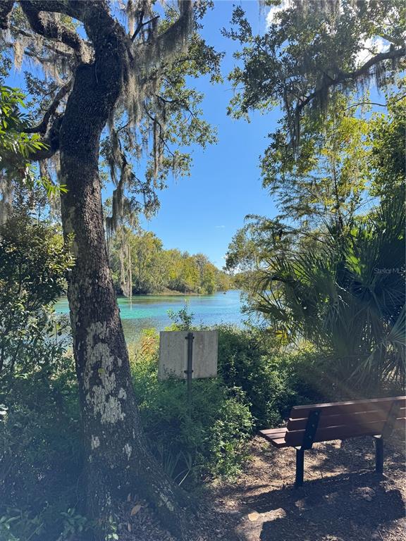 19330 Southwest 91st Loop Dunnellon, FL 34432 - Photo 42 of 46 a yard with lake view