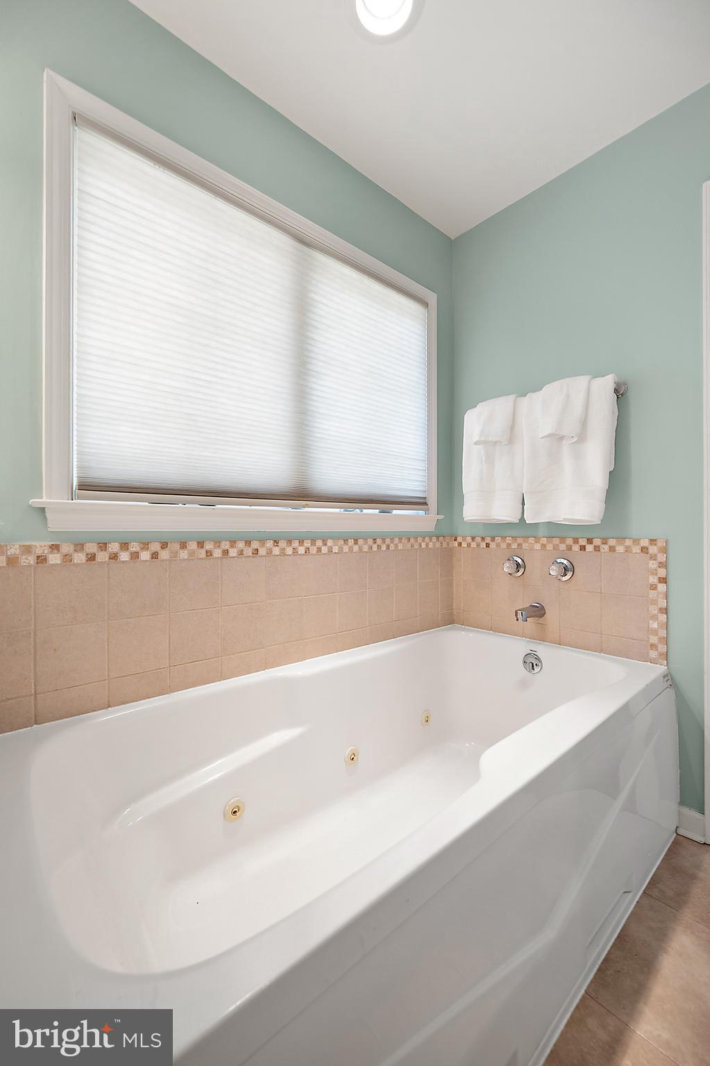 32183 Melson Road Delmar, MD 21875 - Photo 51 of 62