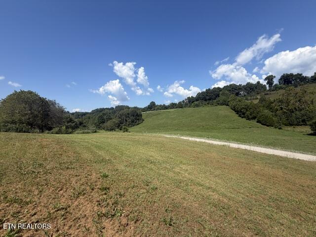 526 Blue Hollow Road Rose Hill, VA 24281 - Photo 5 of 34 IMG_7471