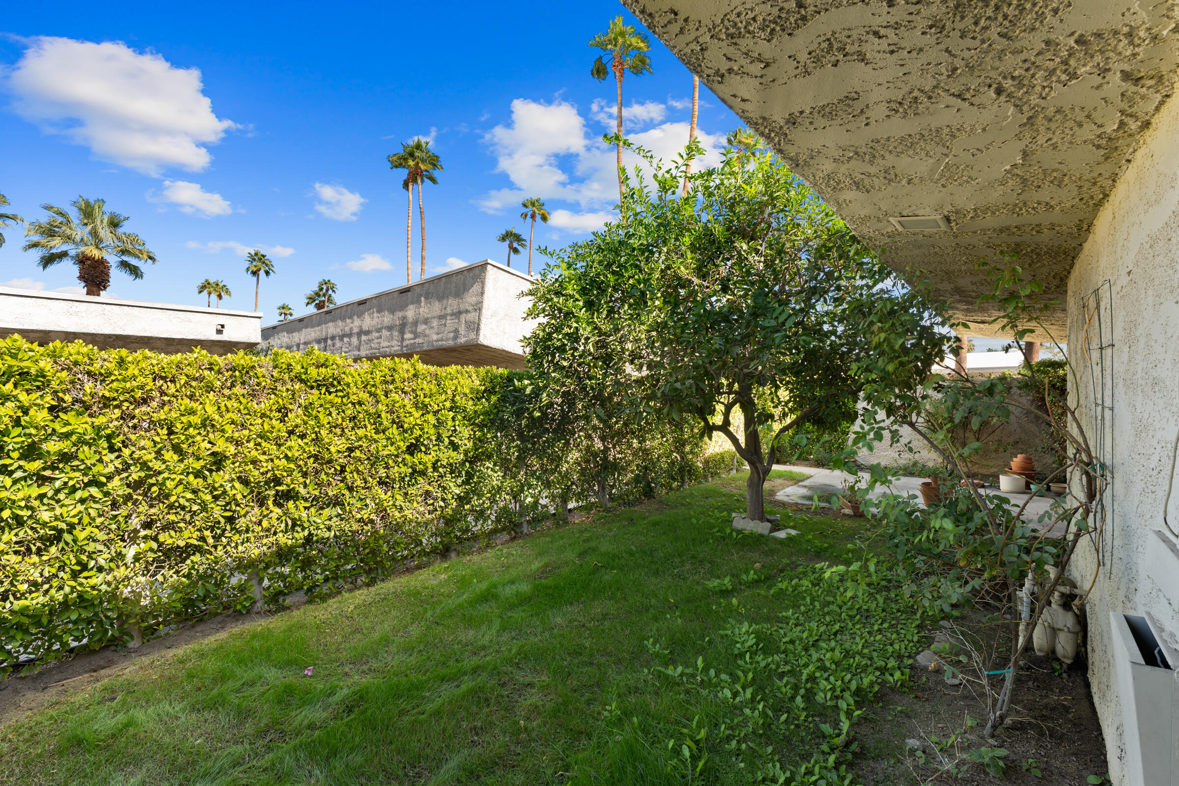 1111 East Ramon Road, Unit 99 Palm Springs, CA 92264 - Photo 24 of 35 yard