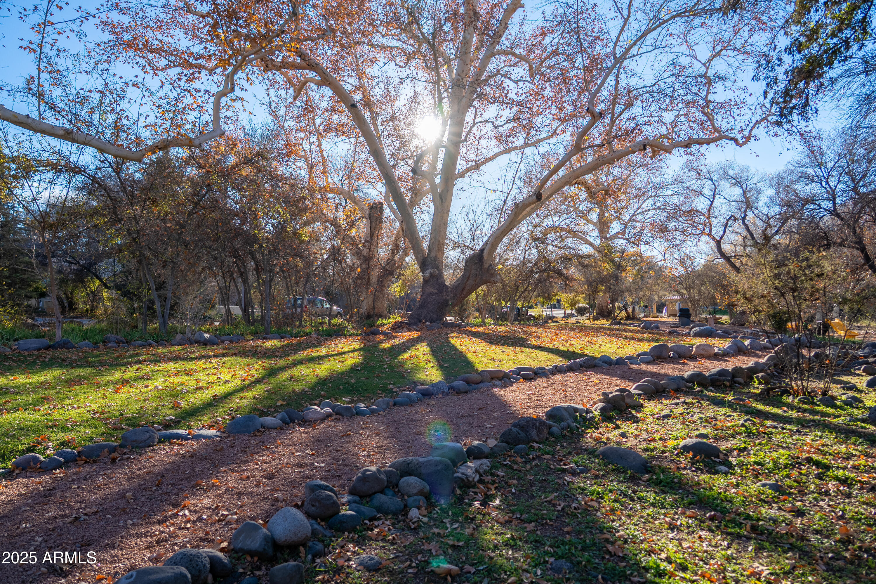 3580 Kit Carson Trail Rimrock, AZ 86335 - Photo 15 of 24 a view of swimming pool with lawn chairs and large trees