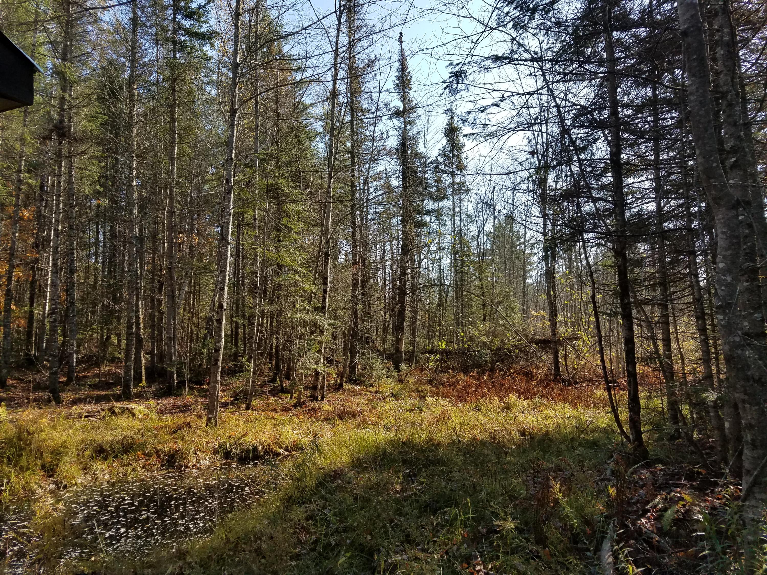1636 Hudson Road Hudson, ME 04449 - Photo 26 of 32 20191024_132040