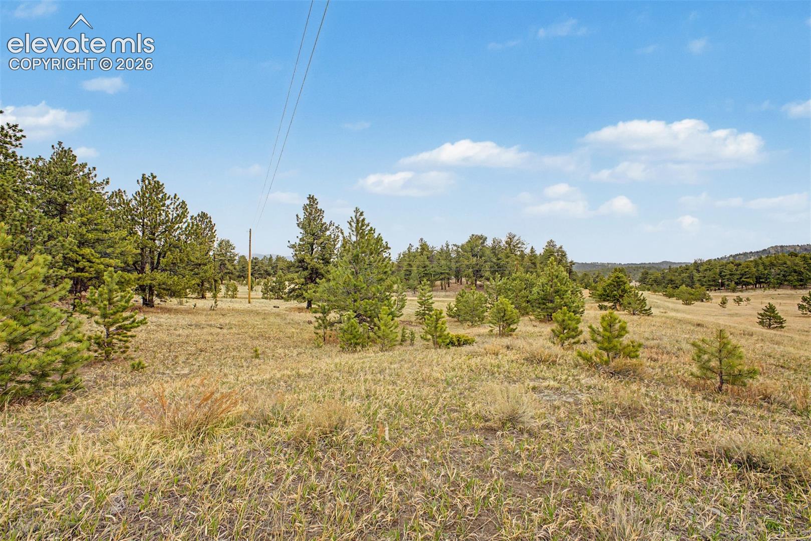 Ranger Station Road Florissant, CO 80816 - Photo 21 of 36 Gallery Image 21