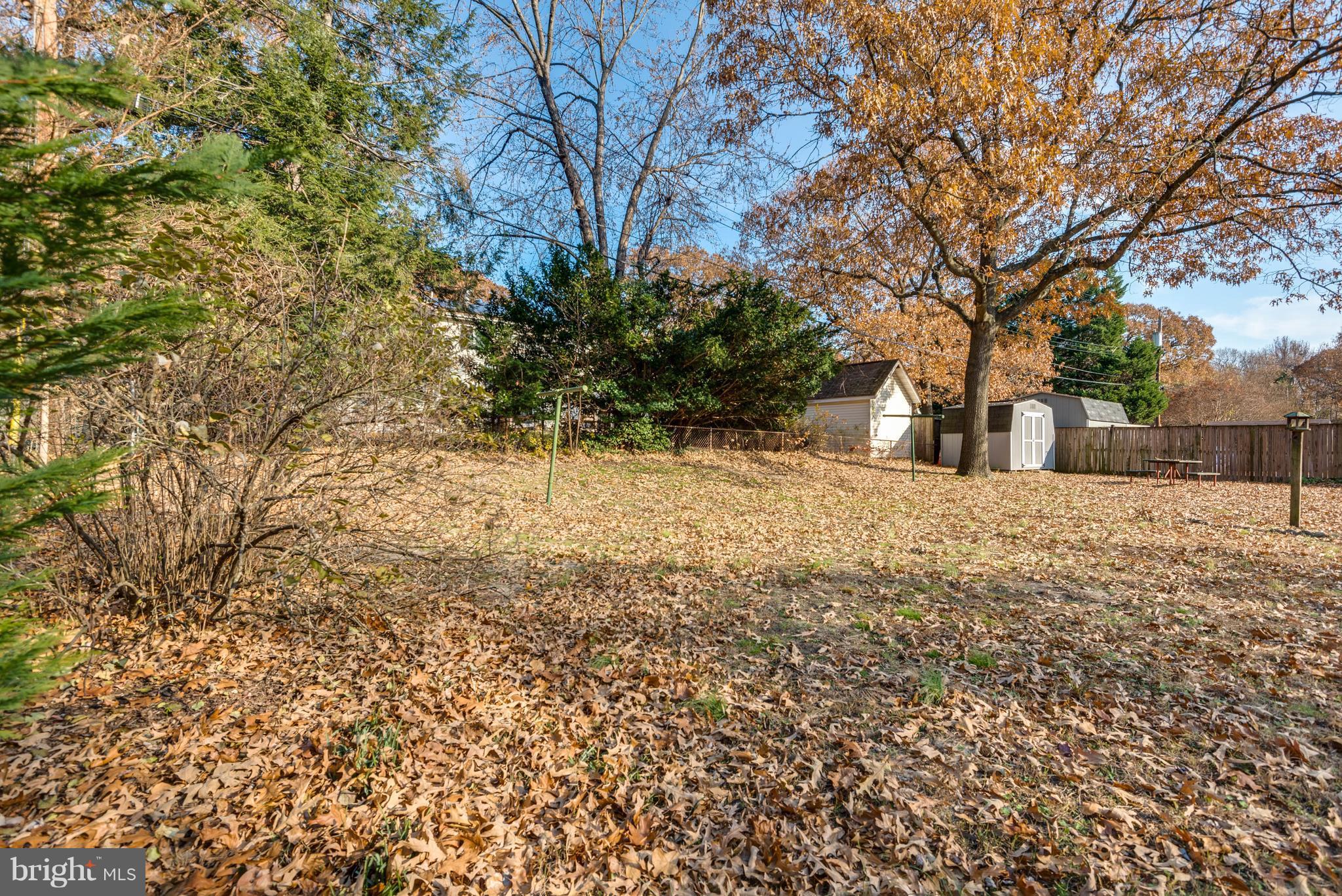 213 Sun Glo Road Pasadena, MD 21122 - Photo 22 of 30 Large backyard with storage shed