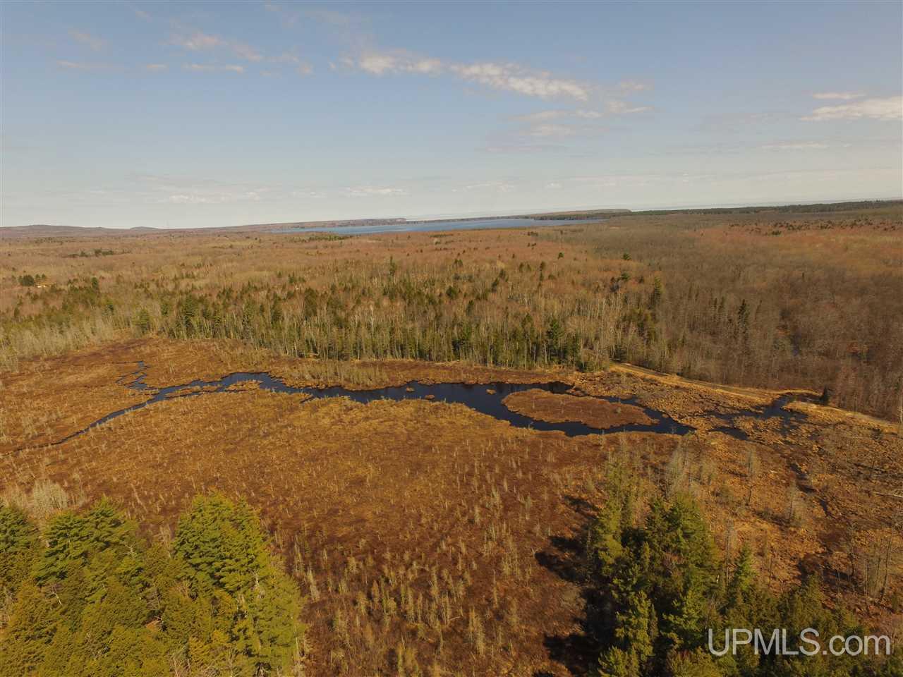 N2510 Co Rd Kch Big Bay, MI 49808 - Photo 3 of 39