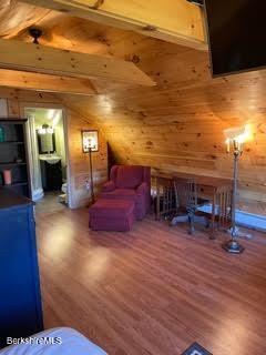 33 South Main Road, Unit STUDIO Otis, MA 01253 - Photo 4 of 8 LIVING ROOM AREA