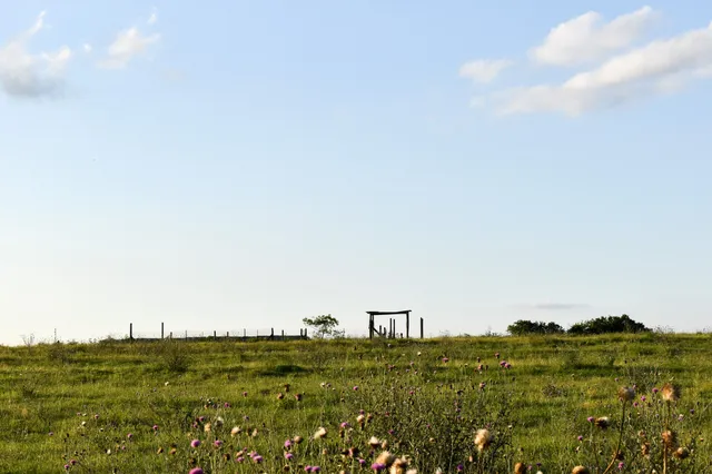 $999,999 | 443 County Road 280, Shiner, TX 77984