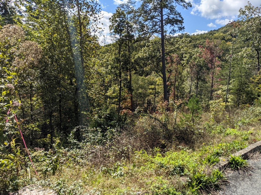98 Bluff Ridge Road Sevierville, TN 37876 - Photo 9 of 19