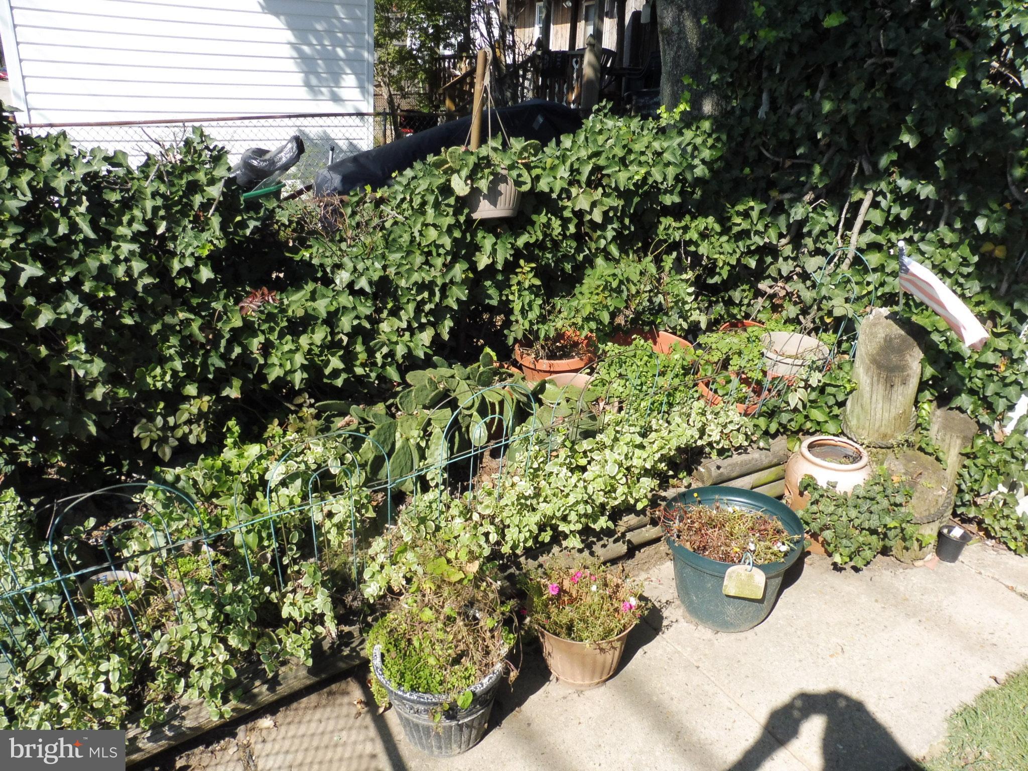 2138 Jasmine Road Baltimore, MD 21222 - Photo 4 of 24 Gardener's dream