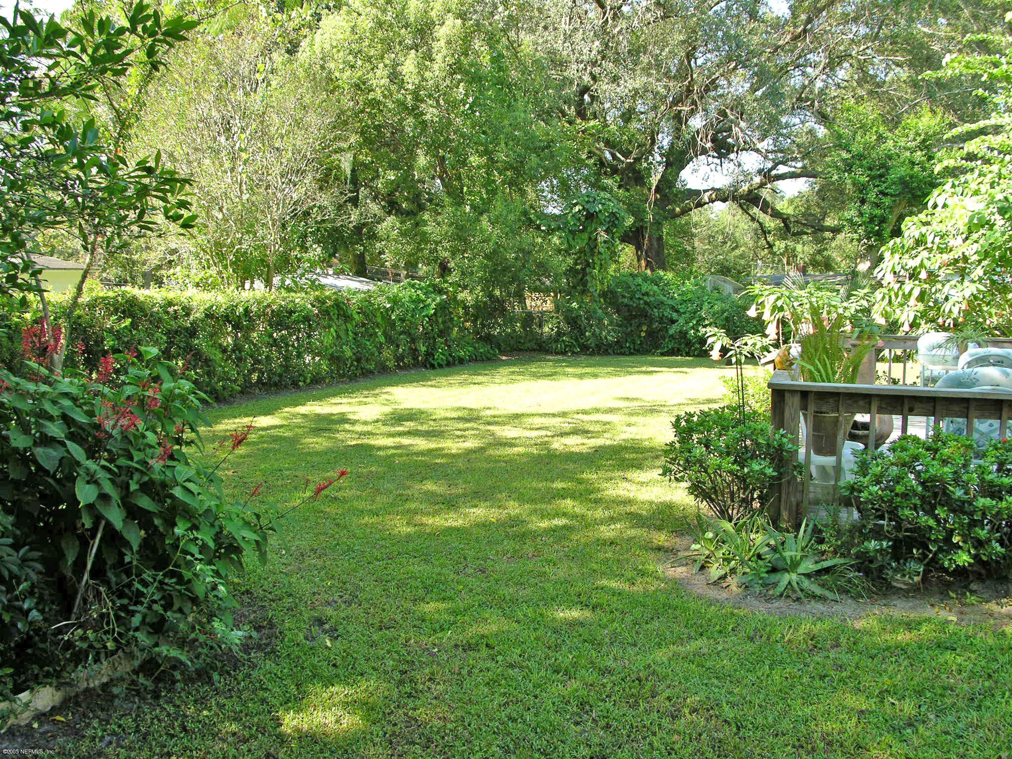 2918 Christopher Road Jacksonville, FL 32217 - Photo 6 of 10 a view of a large yard with plants and large trees