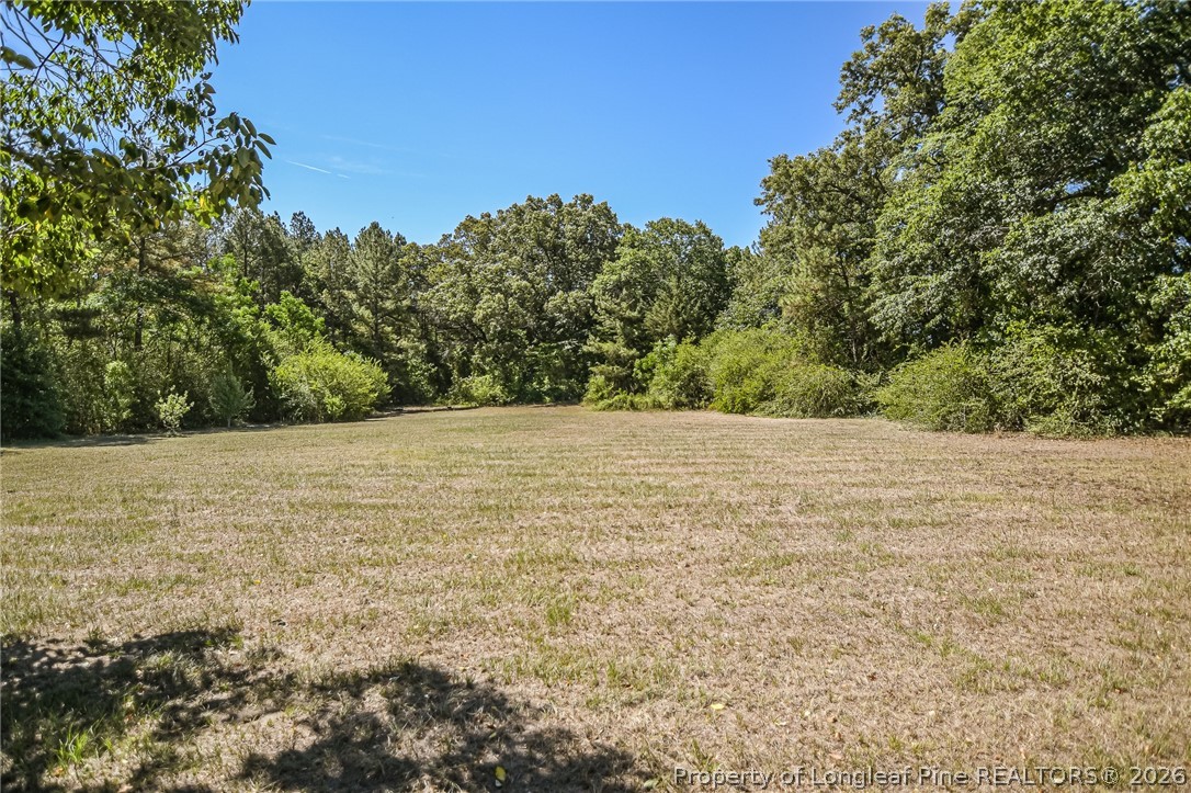 21181 Traders Road Laurel Hill, NC 28351 - Photo 4 of 49