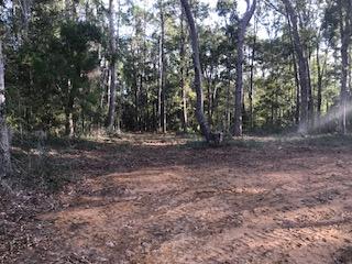 8554 Shell House Road Edisto Island, SC 29438 - Photo 1 of 2 Primary Photo