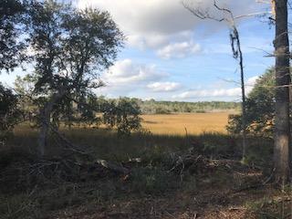 8554 Shell House Road Edisto Island, SC 29438 - Photo 2 of 2 Additional Photo
