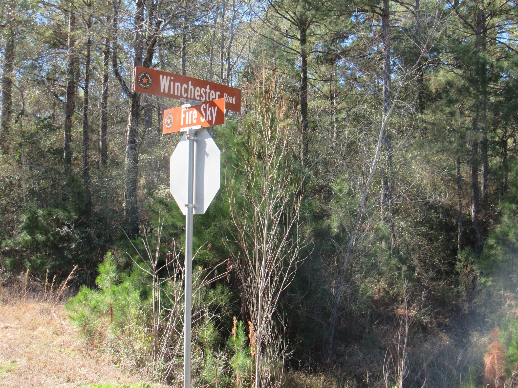 Tbd Winchester Road Huntsville, TX 77340 - Photo 2 of 6 a front view of a house with garden