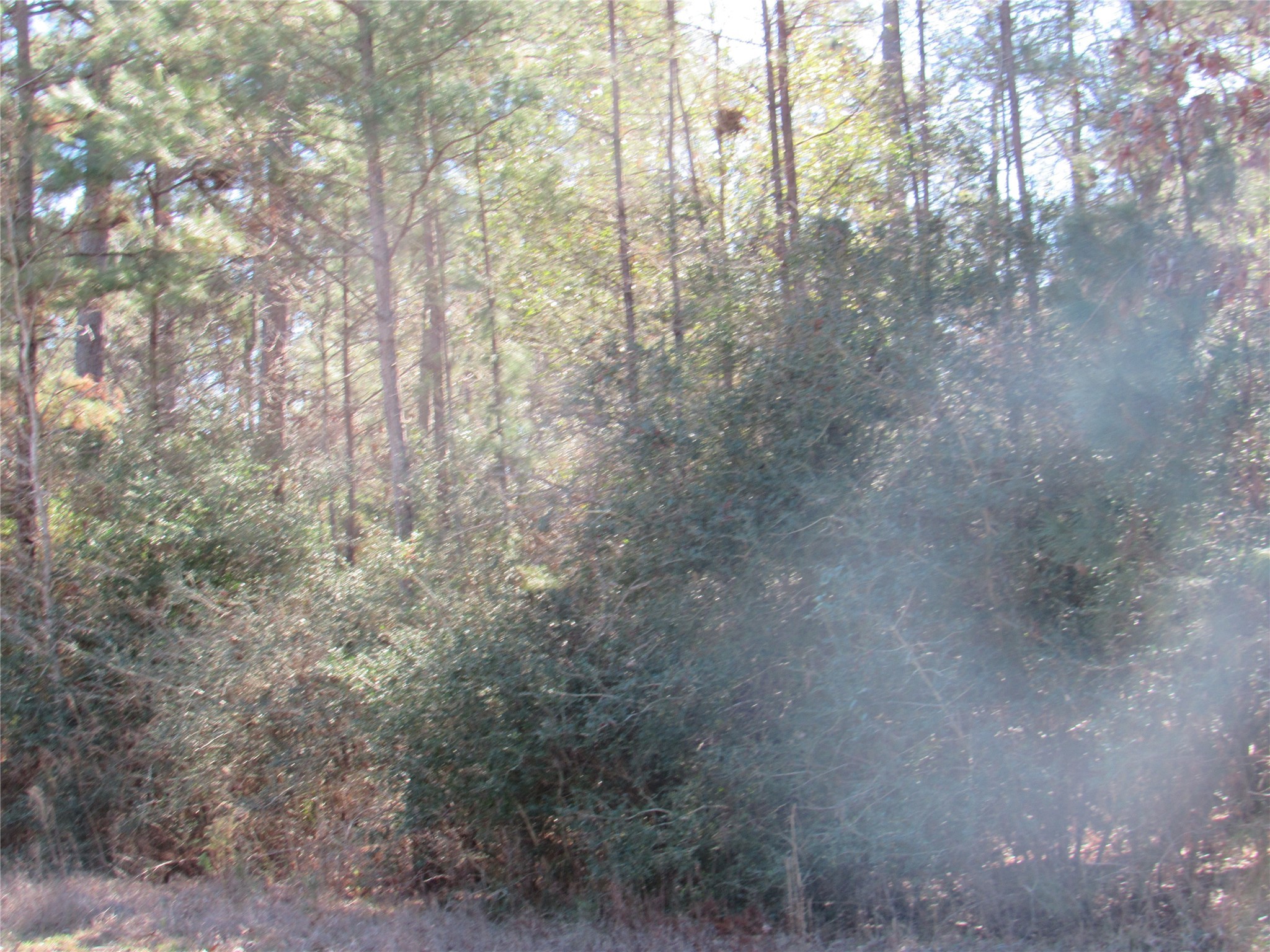 Tbd Winchester Road Huntsville, TX 77340 - Photo 5 of 6