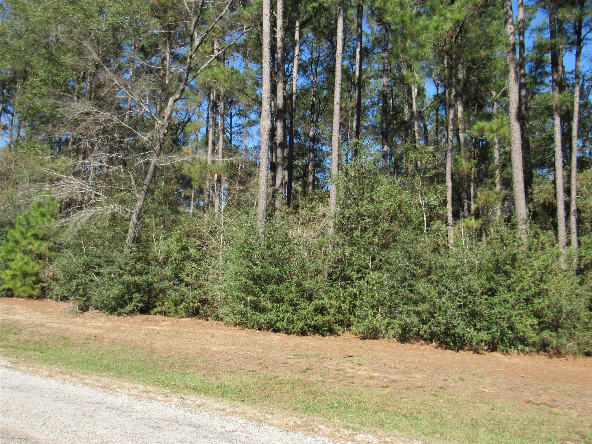 Tbd Winchester Road Huntsville, TX 77340 - Photo 6 of 6 a view of outdoor space and yard