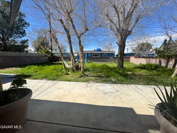 a street view with large trees