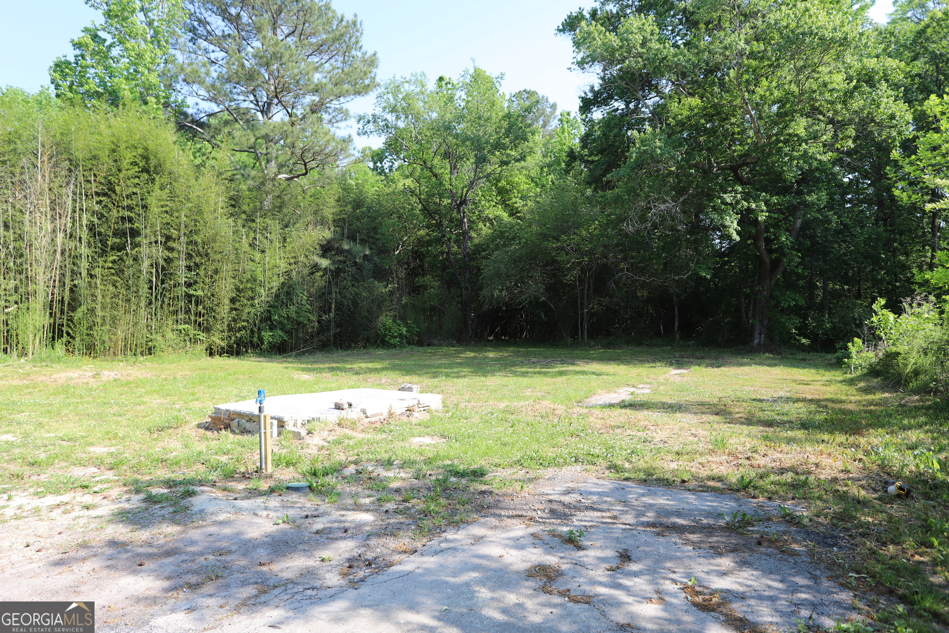 502 Hair Lake Road Summerville, GA 30747 - Photo 6 of 8 a view of a back yard
