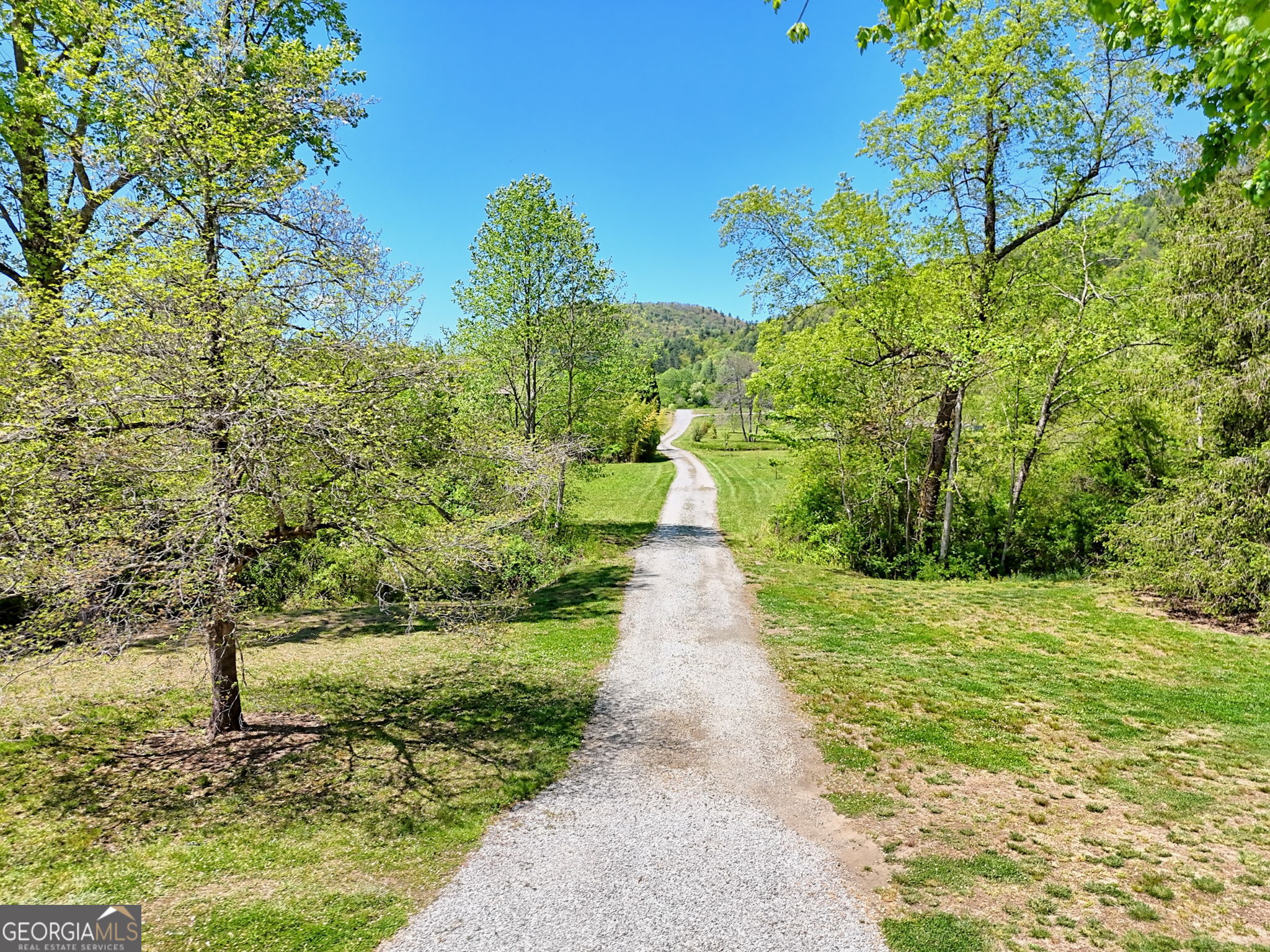 784 Wolffork Church Road Rabun Gap, GA 30568 - Photo 46 of 46