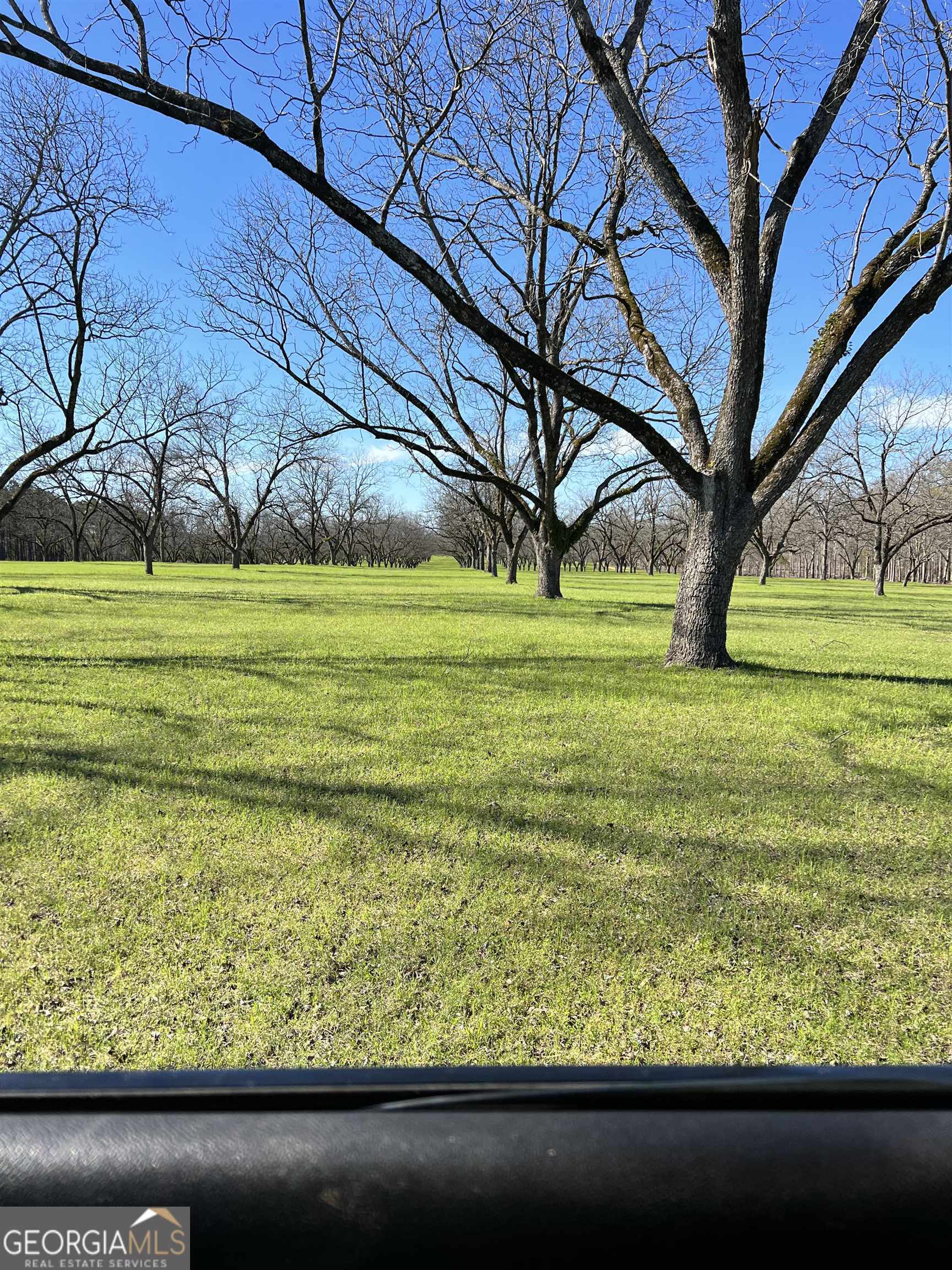 2382 Gallimore Mill Road Jeffersonville, GA 31044 - Photo 110 of 122