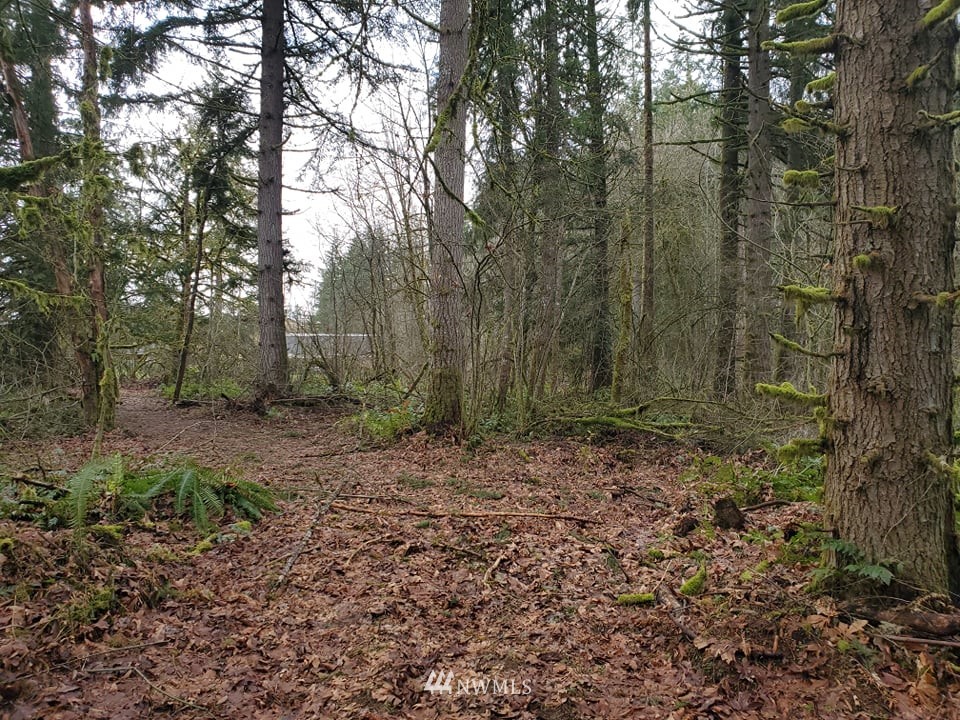 369 Hart Road, Unit 38 Winlock, WA 98596 - Photo 23 of 33 a view of a forest with trees in the background