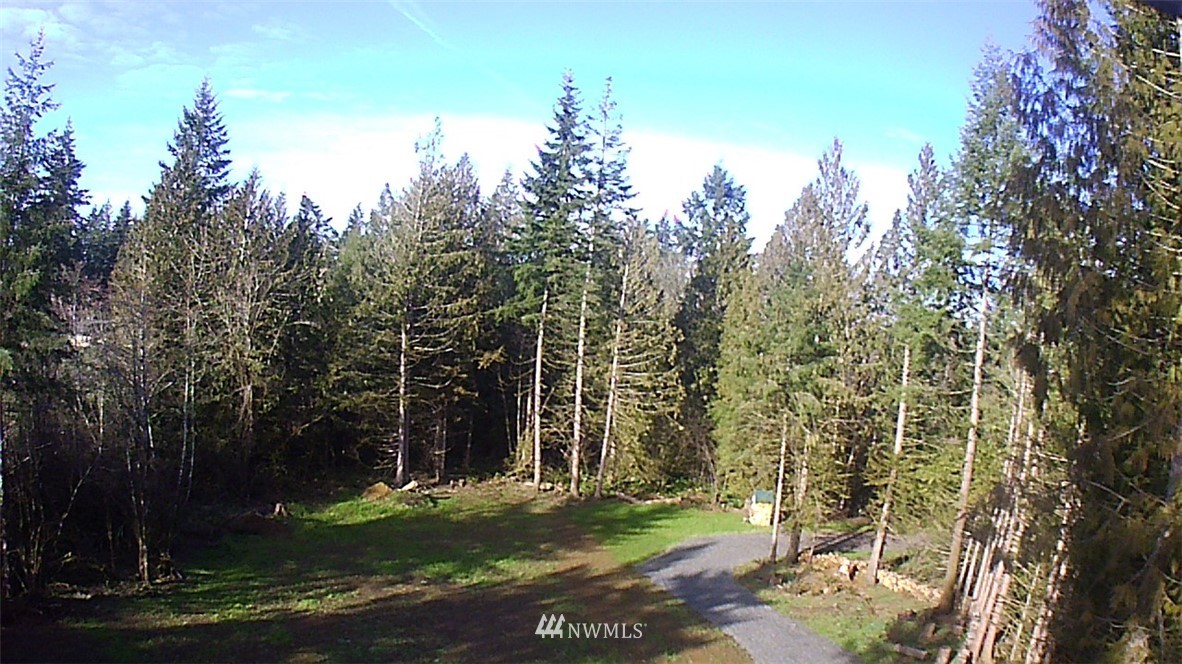 369 Hart Road, Unit 38 Winlock, WA 98596 - Photo 27 of 33 a view of a park with large trees